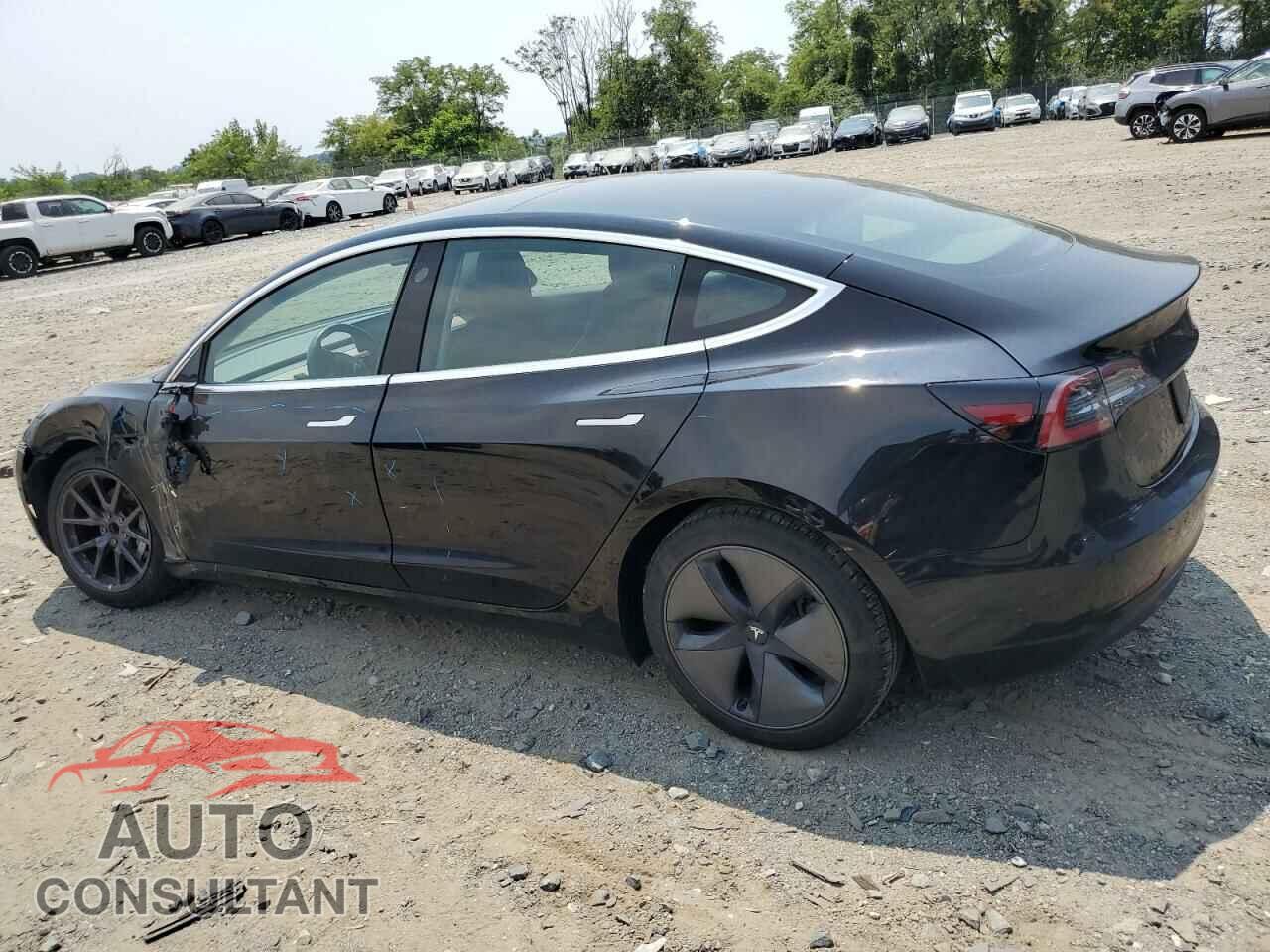 TESLA MODEL 3 2019 - 5YJ3E1EA7KF398799