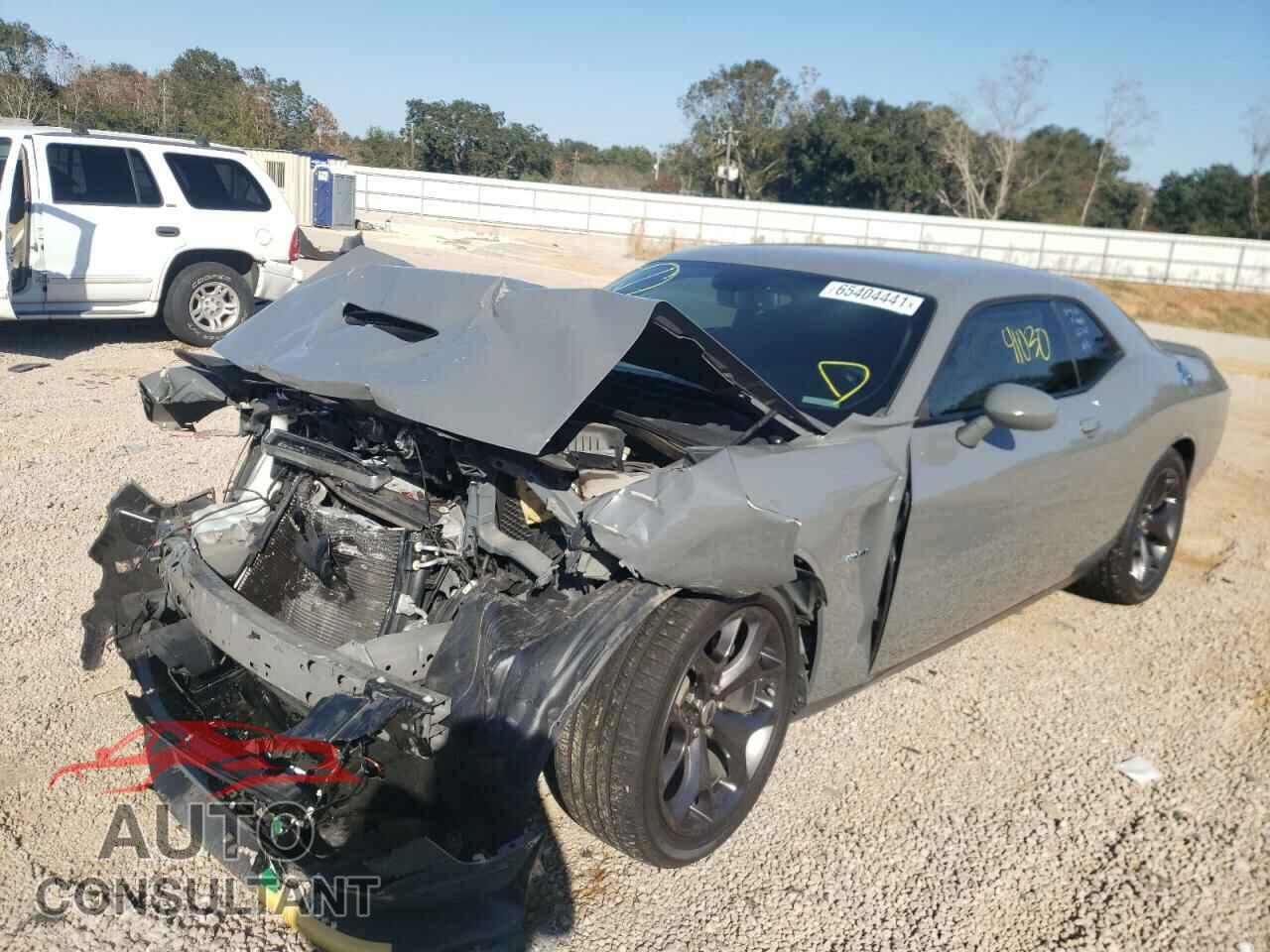 DODGE CHALLENGER 2019 - 2C3CDZBT6KH509400