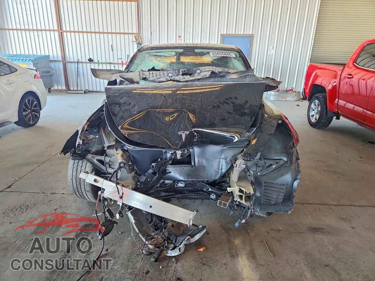 TESLA MODEL Y 2024 - 7SAYGDEE5RF155056