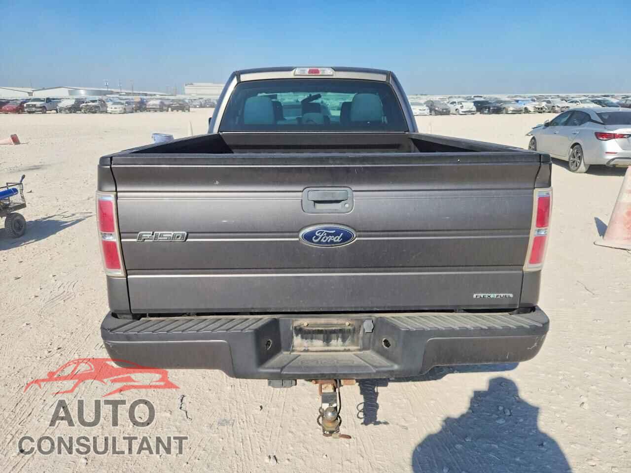 FORD F150 2013 - 1FTFX1CF5DFD81925
