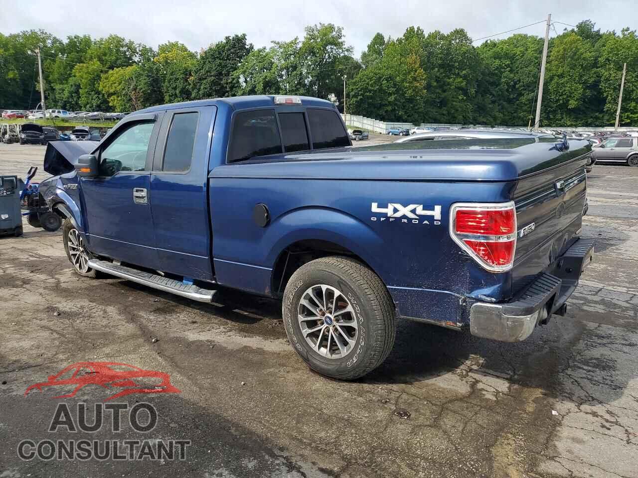 FORD F150 2011 - 1FTFX1EF2BFA54697