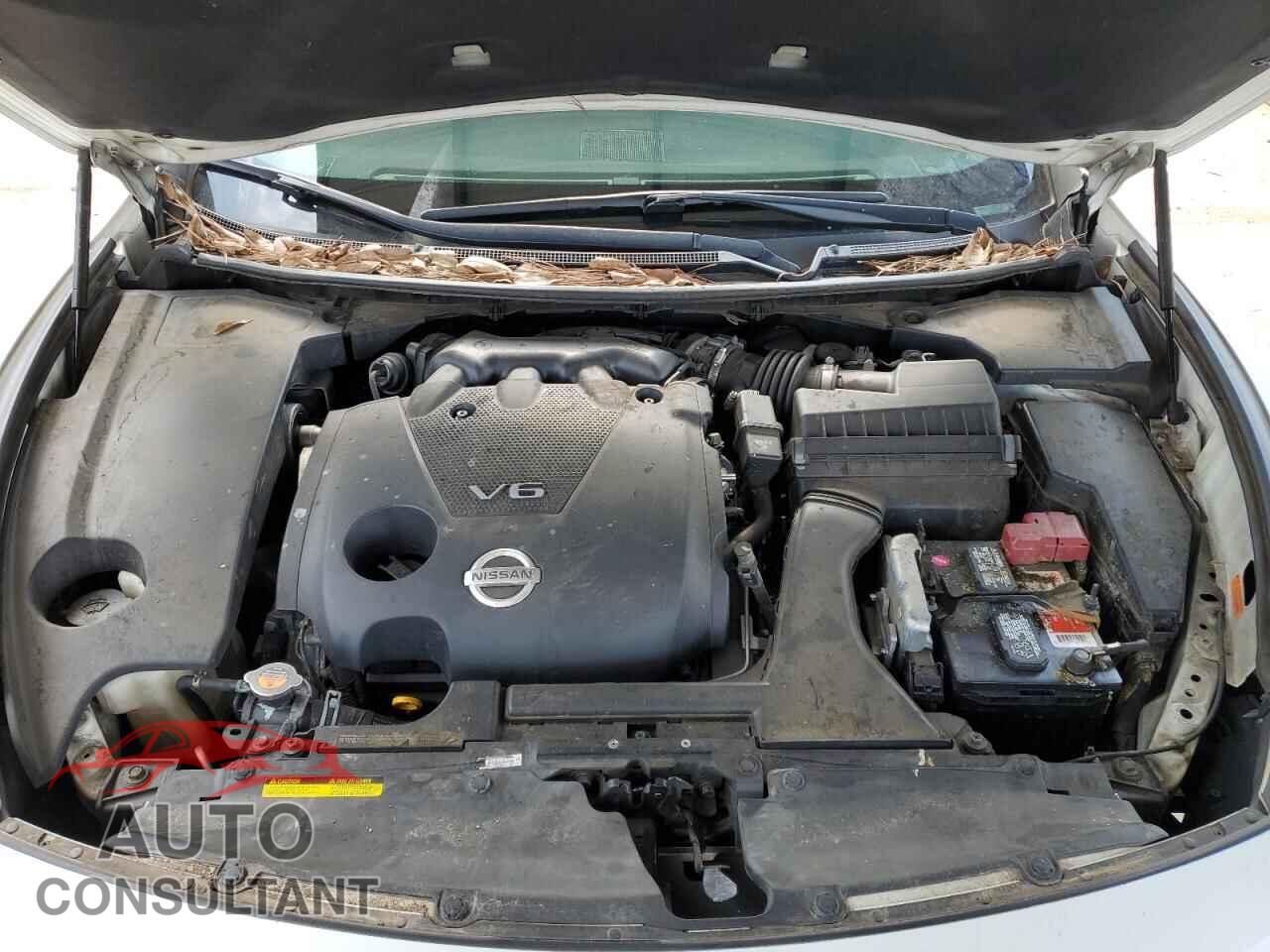 NISSAN MAXIMA 2013 - 1N4AA5AP1DC819233