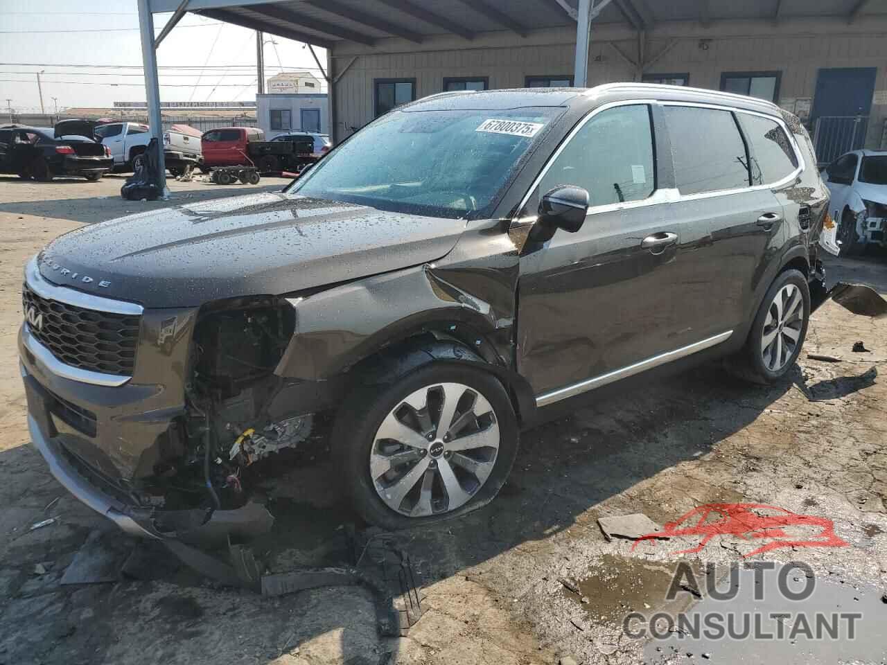 KIA TELLURIDE 2022 - 5XYP34HC5NG304616