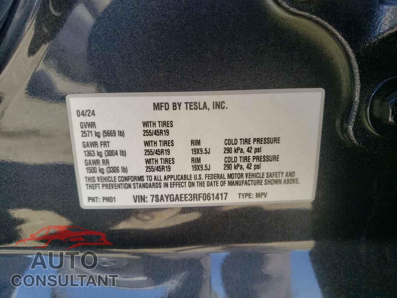 TESLA MODEL Y 2024 - 7SAYGAEE3RF061417