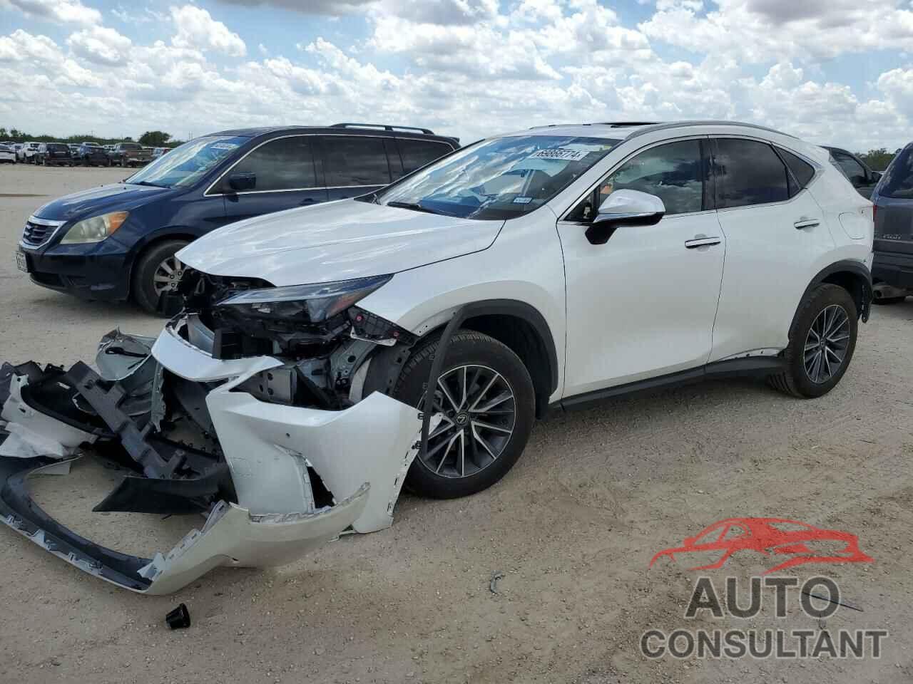 LEXUS NX 350H BA 2024 - JTJGKCEZXR5016415