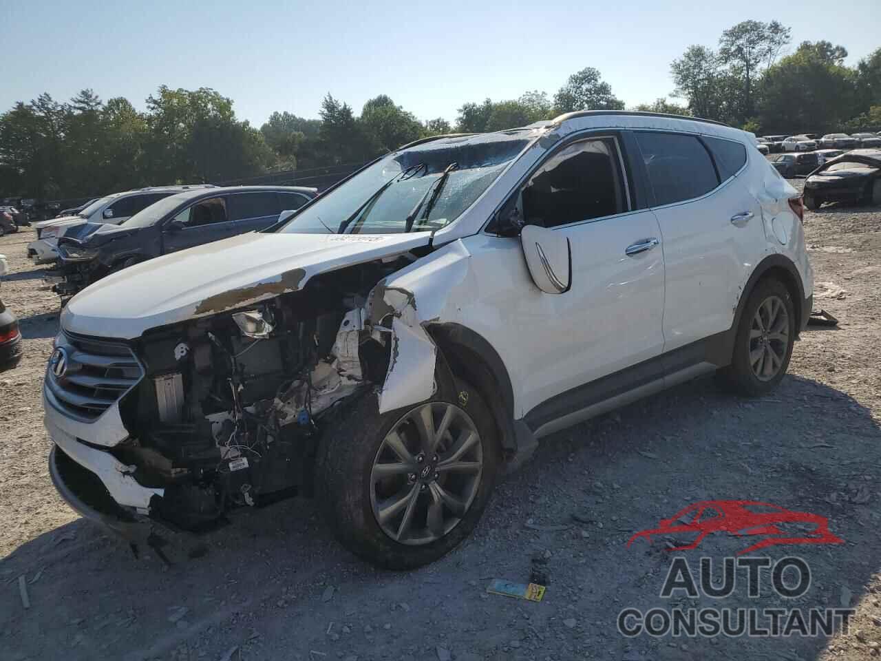 HYUNDAI SANTA FE 2017 - 5NMZWDLA0HH048742
