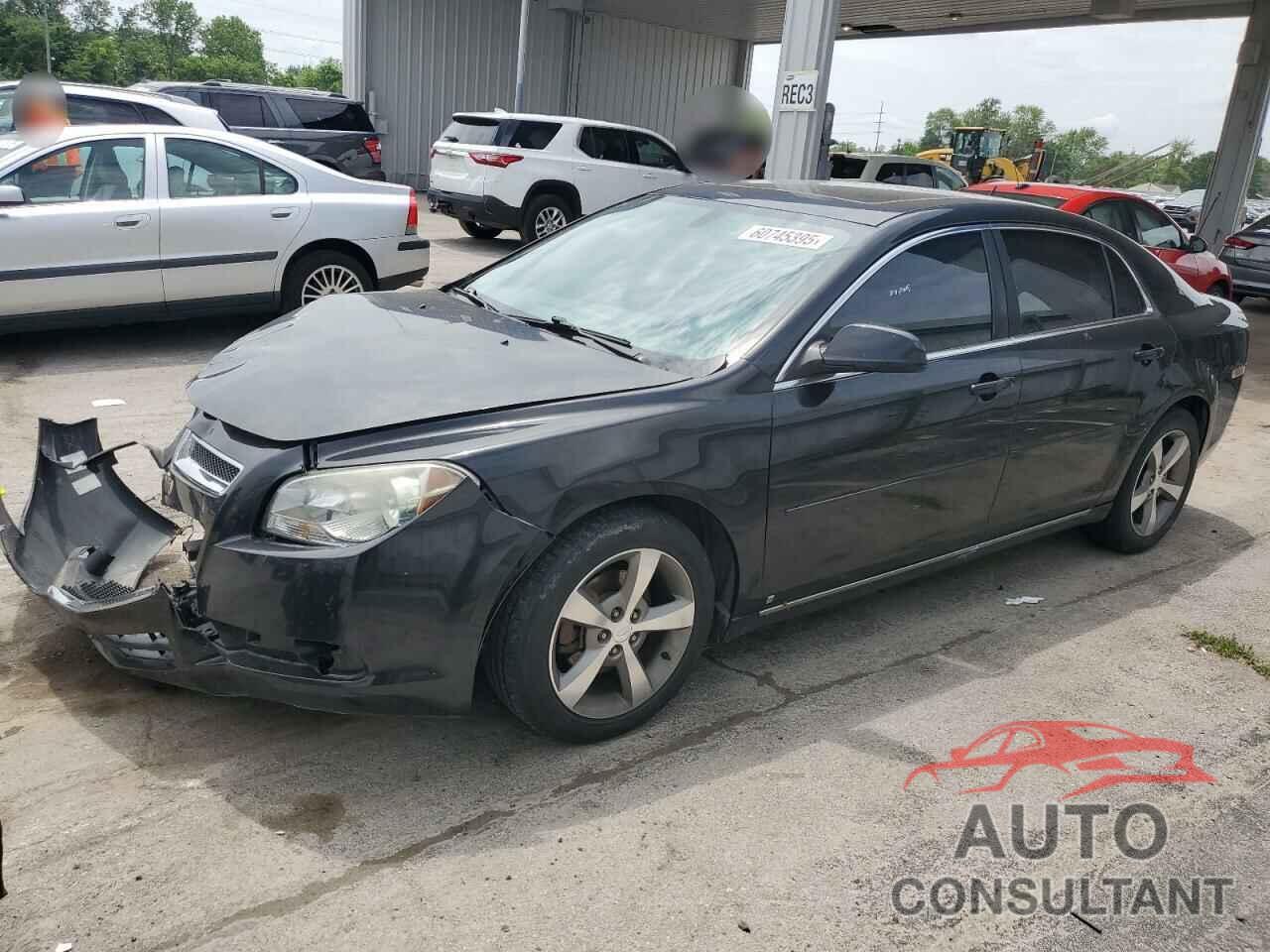 CHEVROLET MALIBU 2010 - 1G1ZC5EB0AF101584