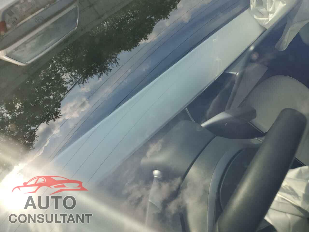 TESLA MODEL 3 2019 - 5YJ3E1EB5KF498523