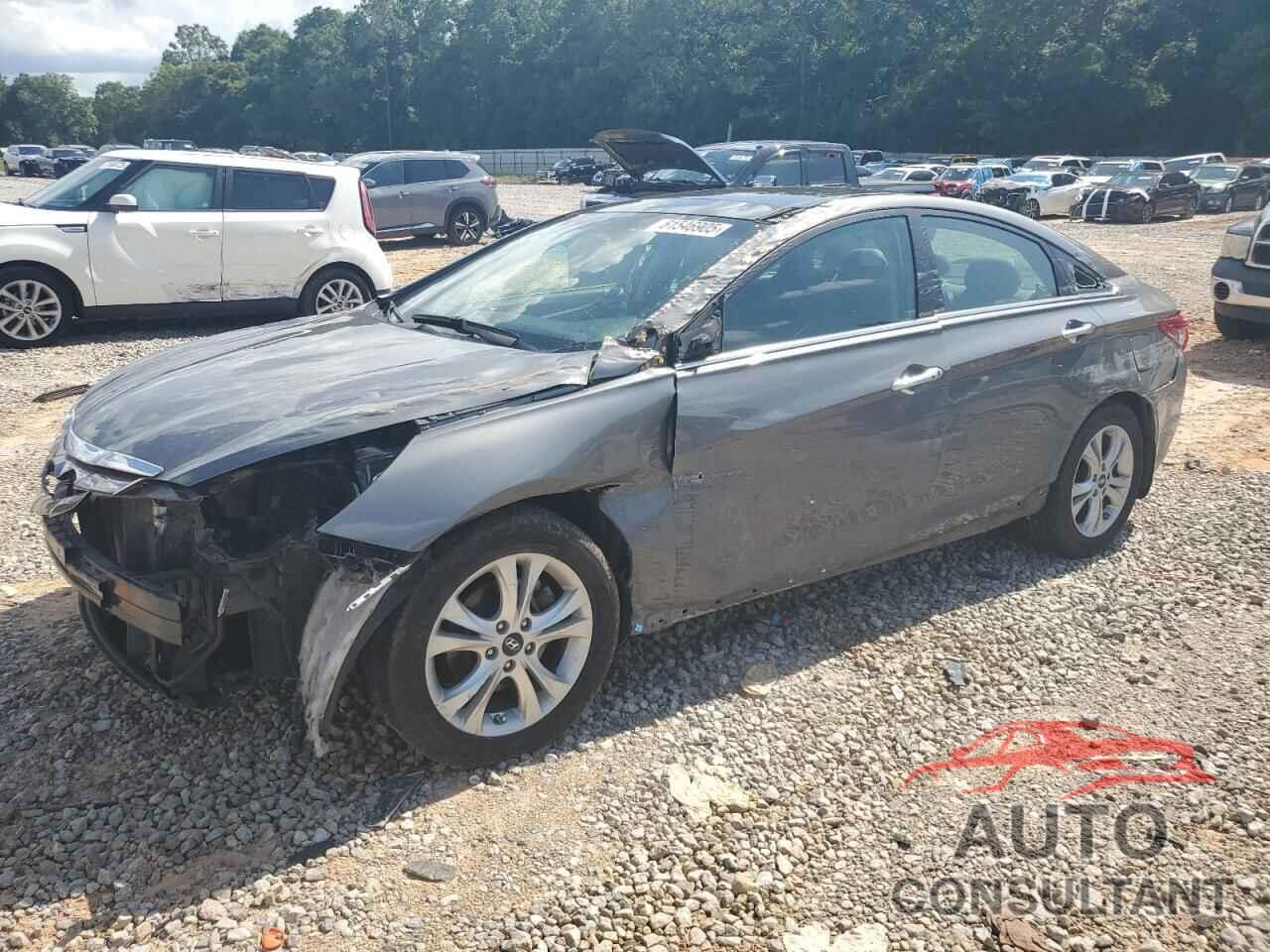 HYUNDAI SONATA 2013 - 5NPEC4AC0DH796593