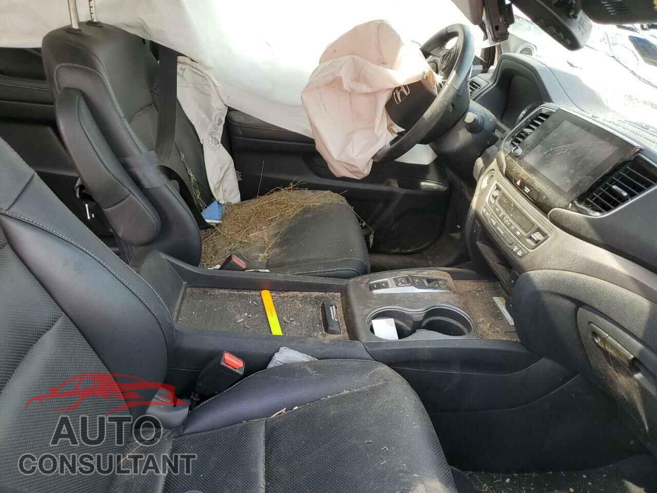 HONDA RIDGELINE 2021 - 5FPYK3F76MB008587