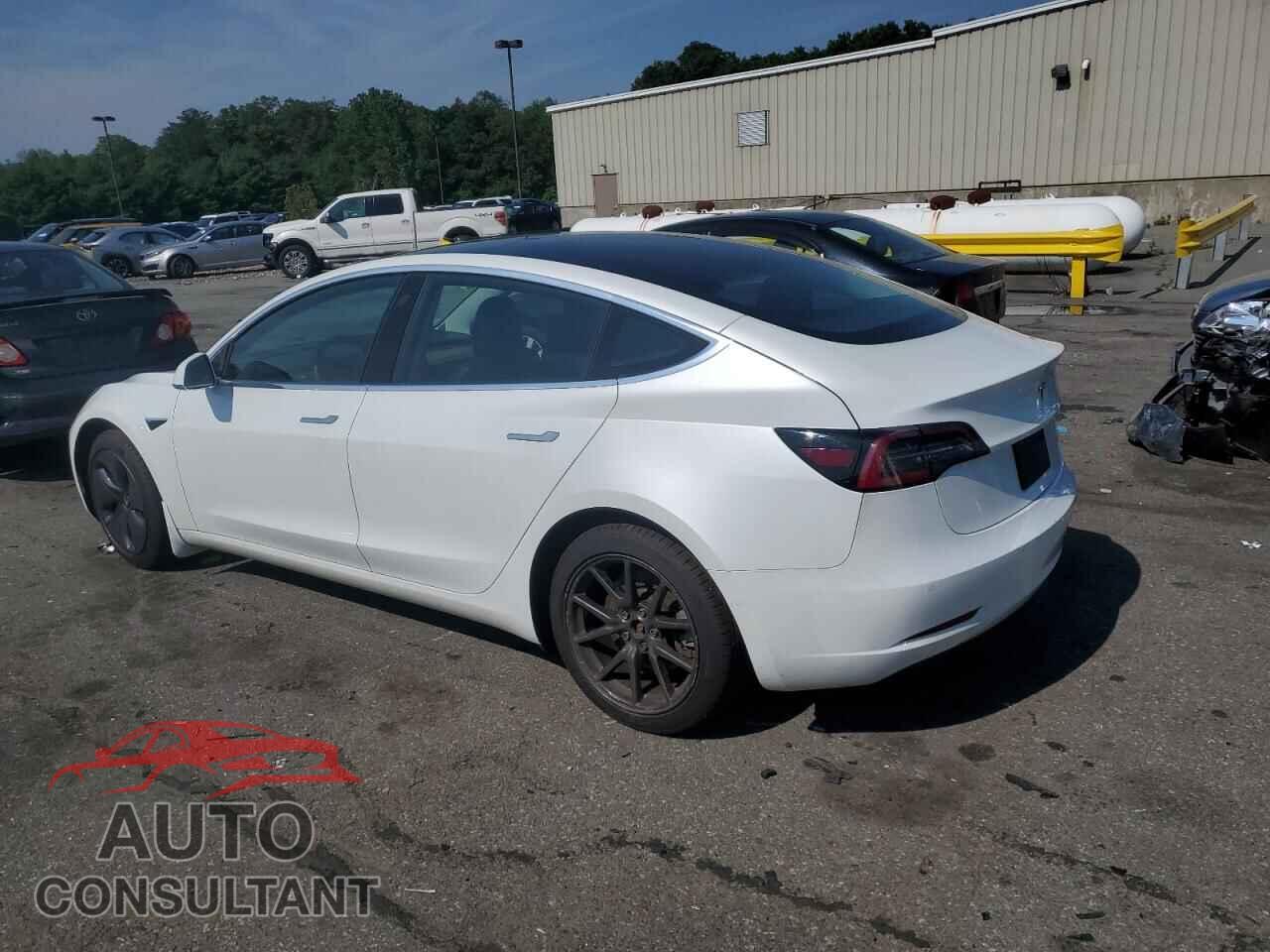 TESLA MODEL 3 2019 - 5YJ3E1EB0KF493598