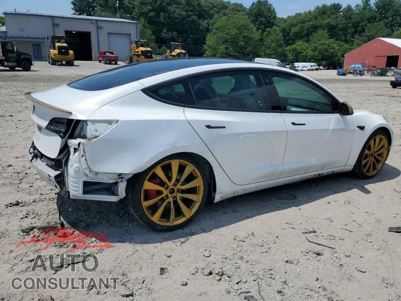 TESLA MODEL 3 2019 - 5YJ3E1EB0KF487588
