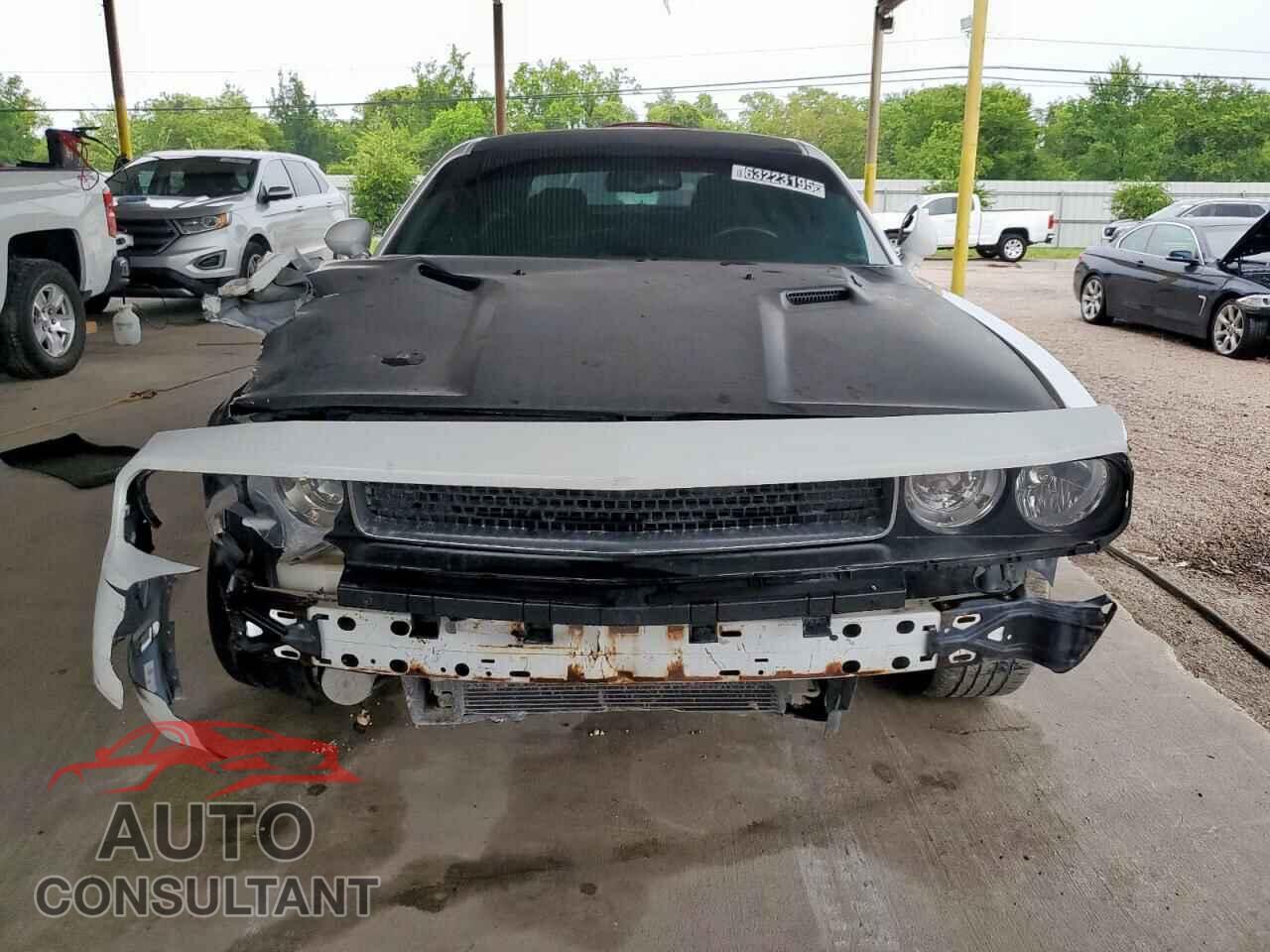 DODGE CHALLENGER 2013 - 2C3CDYBT2DH593597