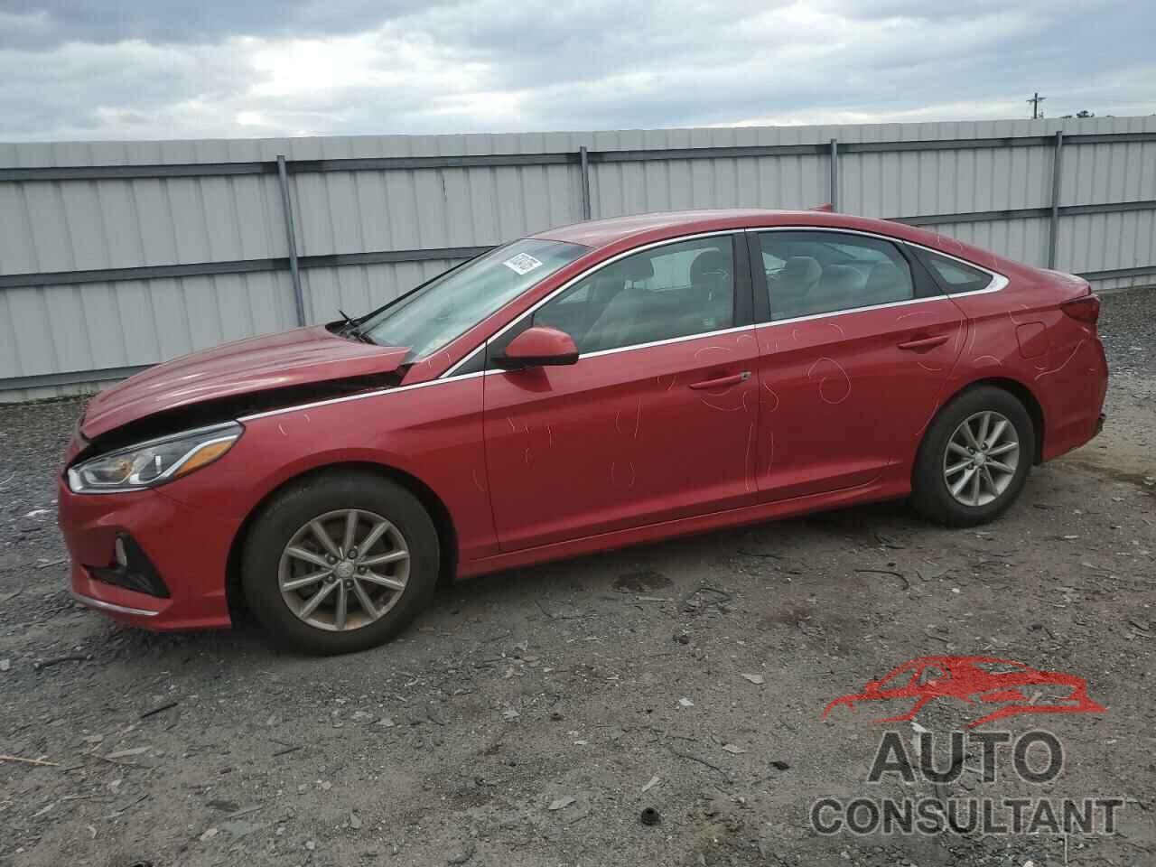 HYUNDAI SONATA 2019 - 5NPE24AFXKH753454