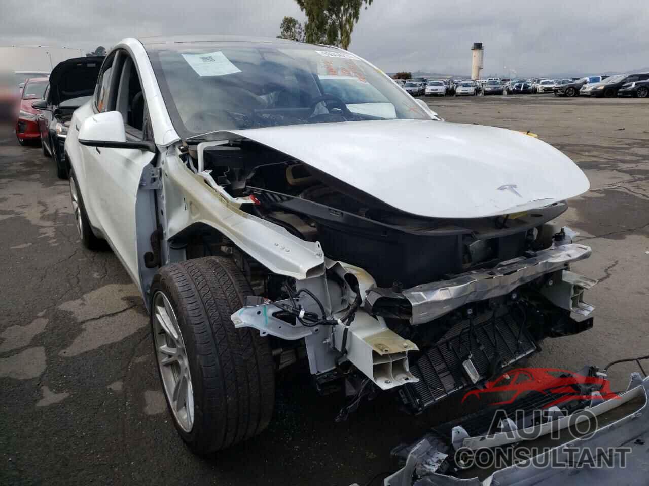 TESLA MODEL Y 2020 - 5YJYGDEE3LF026897
