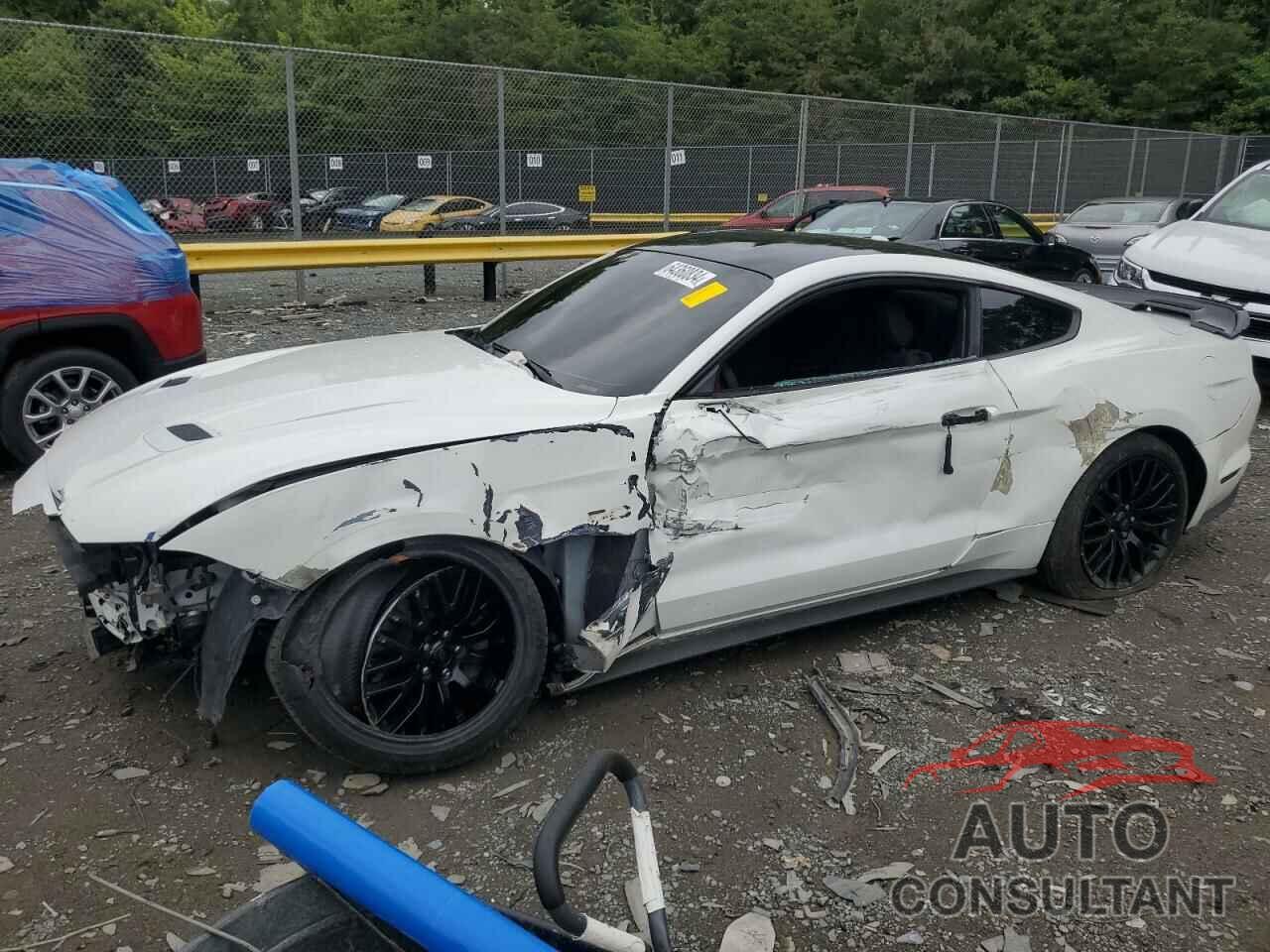 FORD MUSTANG 2019 - 1FA6P8CF9K5181275