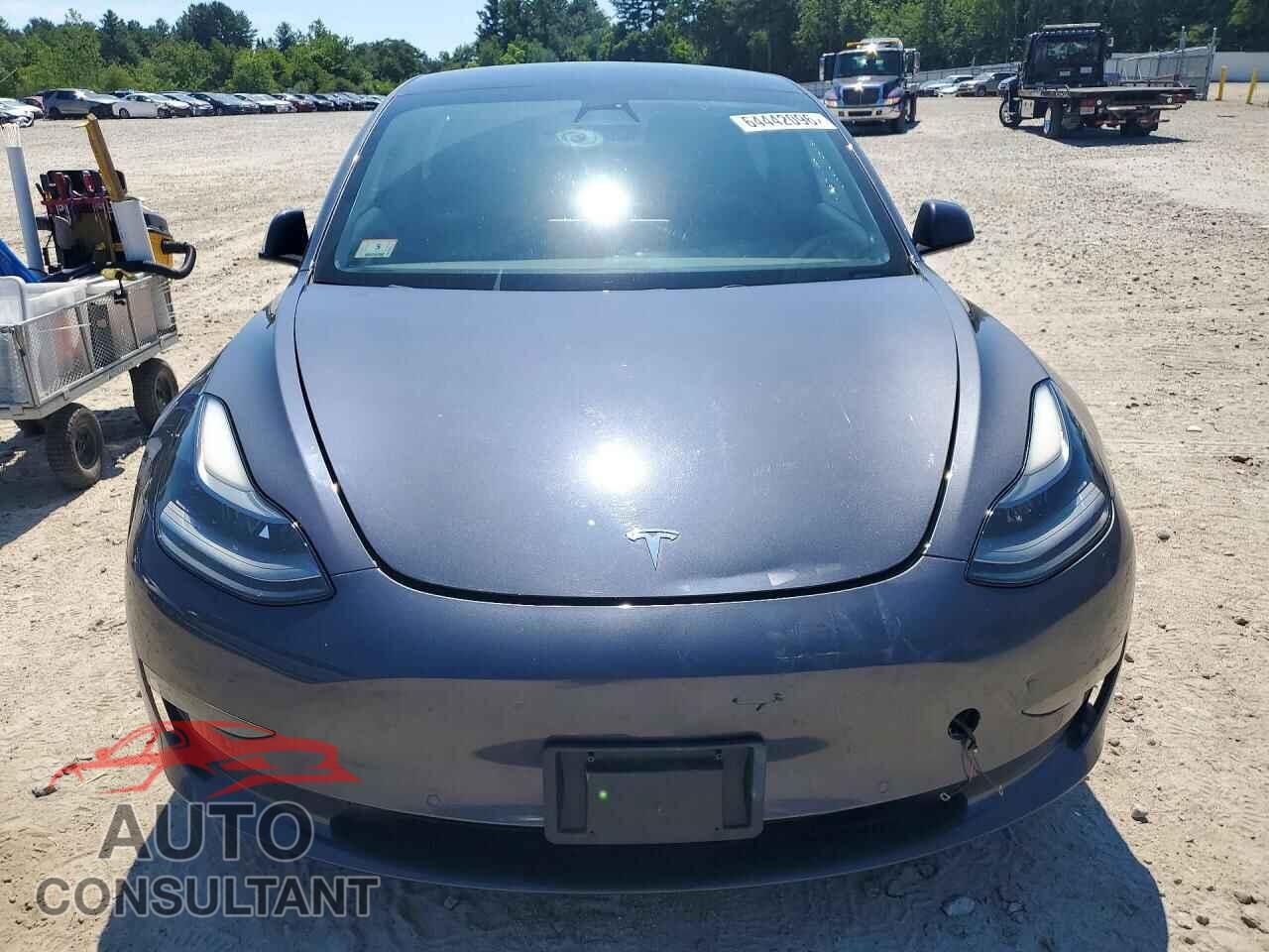 TESLA MODEL 3 2021 - 5YJ3E1EA9MF083022