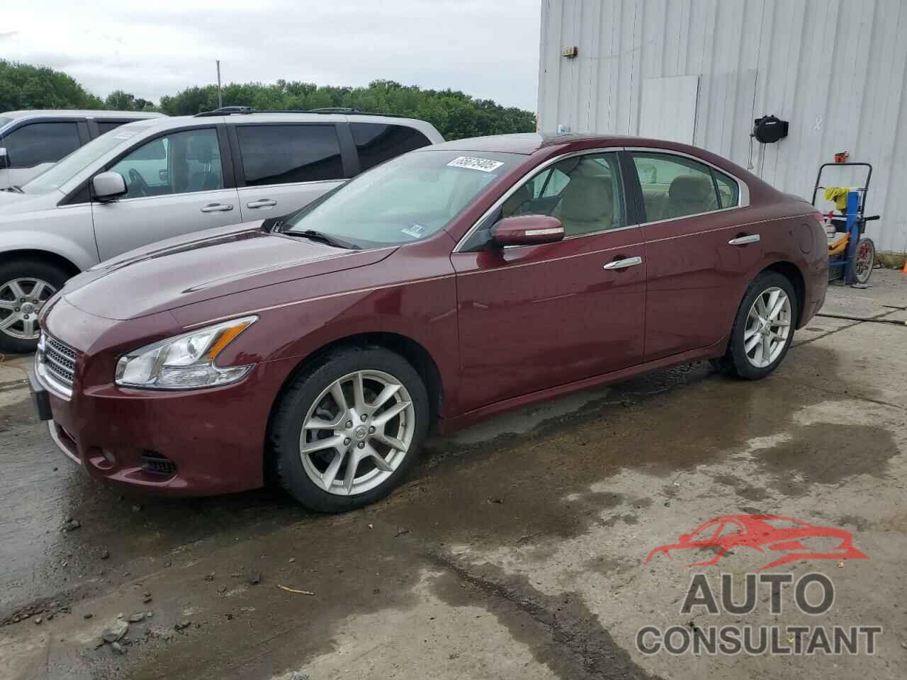 NISSAN MAXIMA 2009 - 1N4AA51EX9C814988