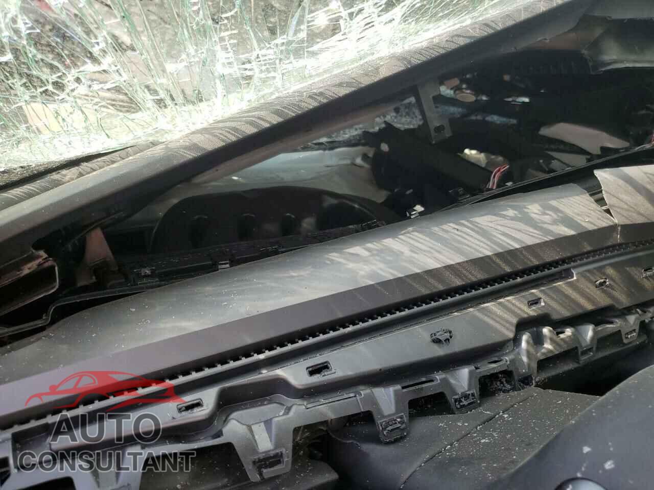 TESLA MODEL 3 2019 - 5YJ3E1EB2KF408356