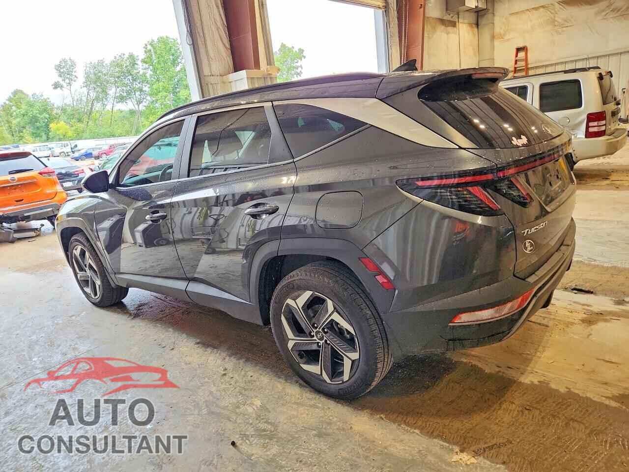 HYUNDAI TUCSON 2023 - 5NMJFCAE7PH260923