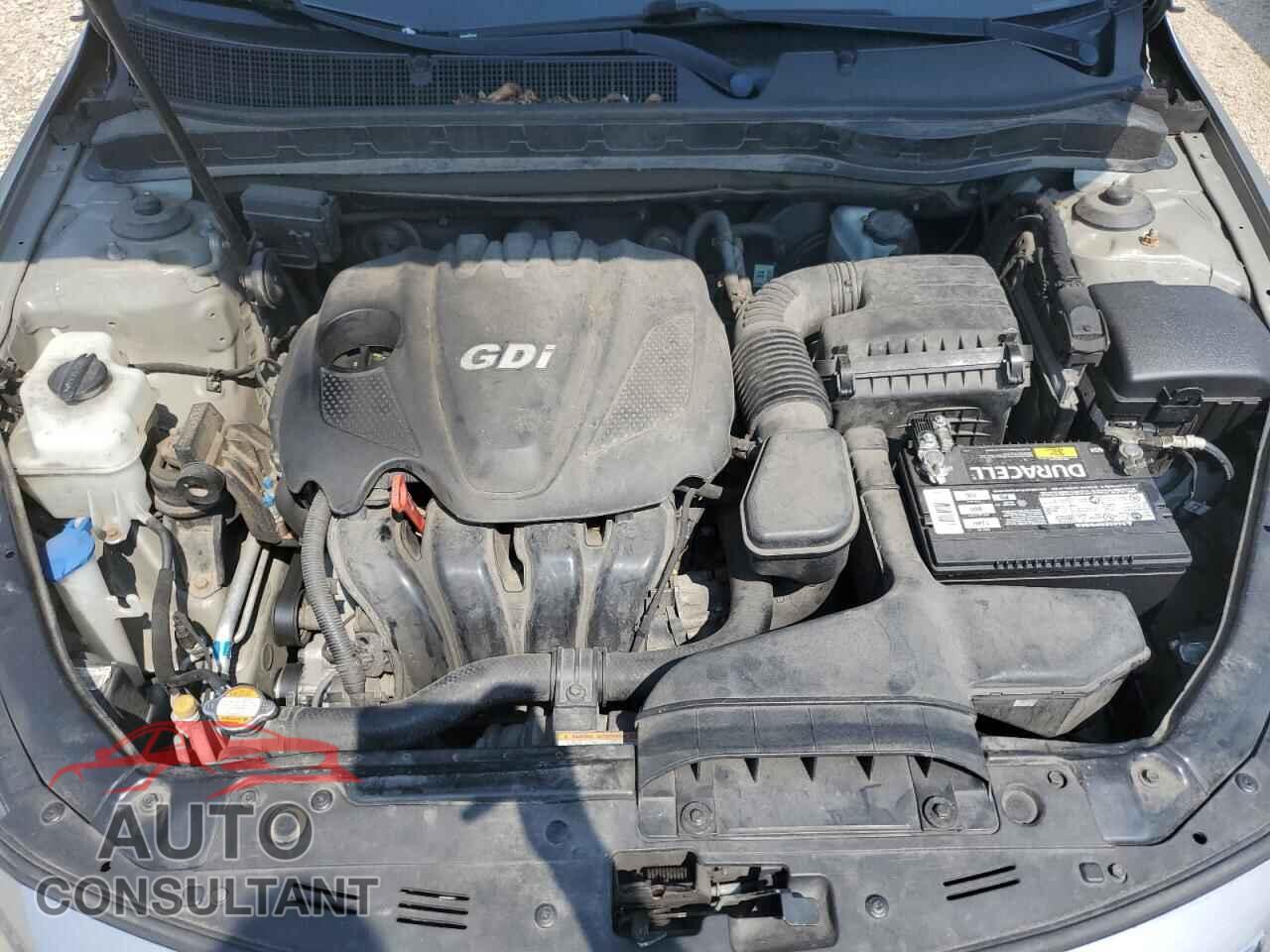KIA OPTIMA 2011 - KNAGN4A79B5122085