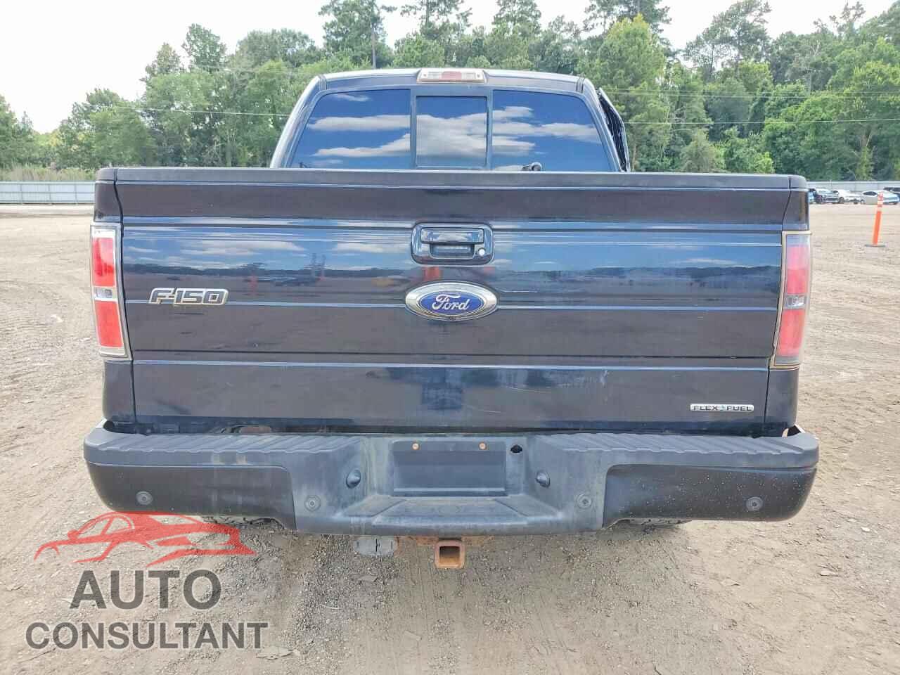 FORD F150 2013 - 1FTFW1EF8DFC32084