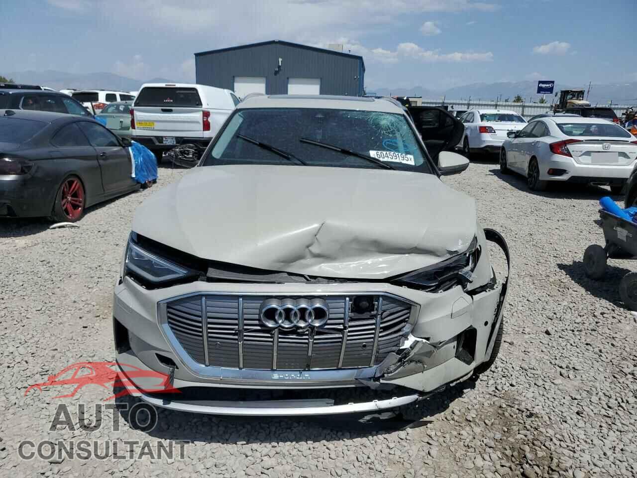 AUDI E-TRON 2019 - WA1LAAGE2KB024948