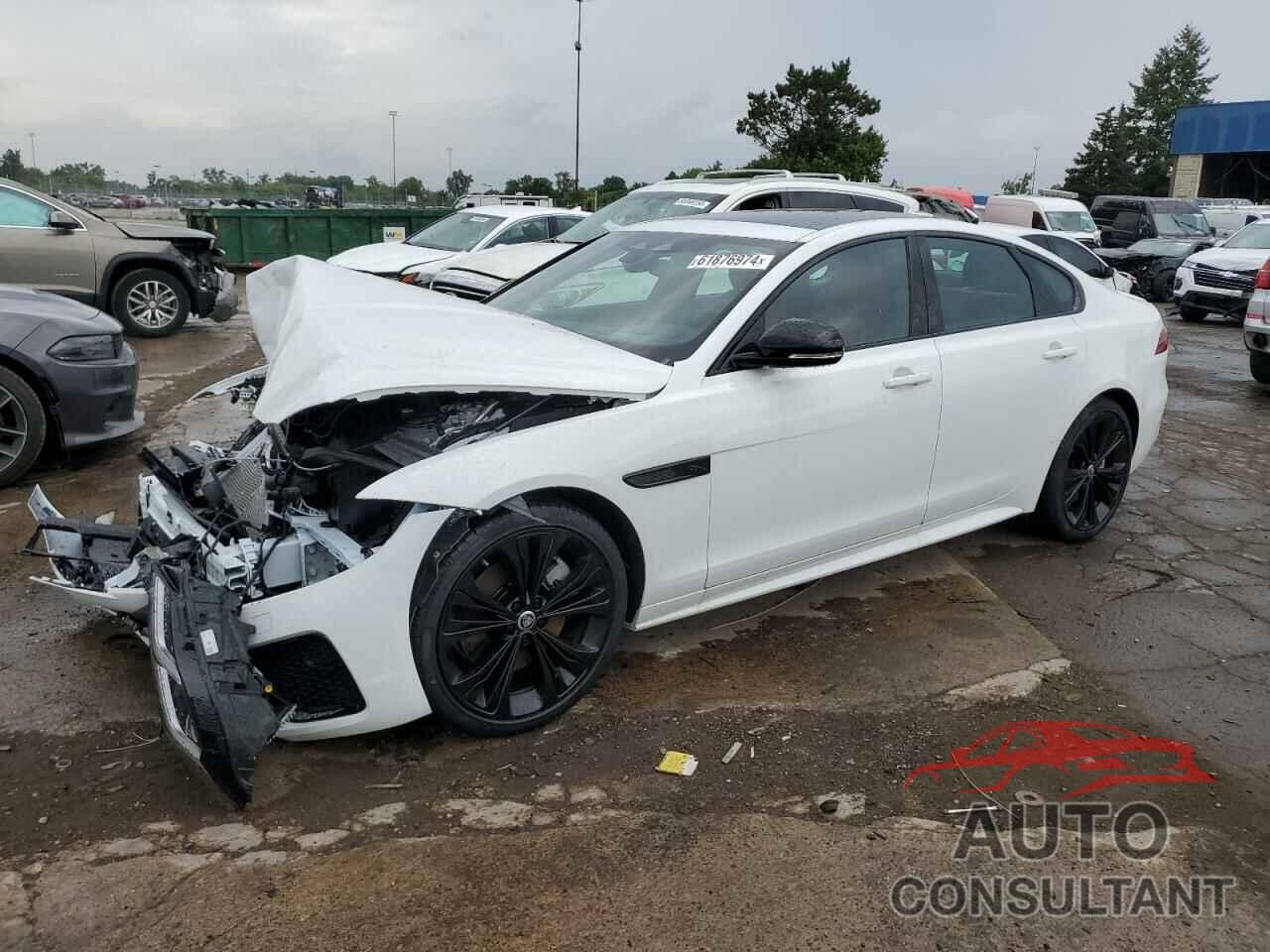 JAGUAR XF 2024 - SAJBL4GX8RCY95695