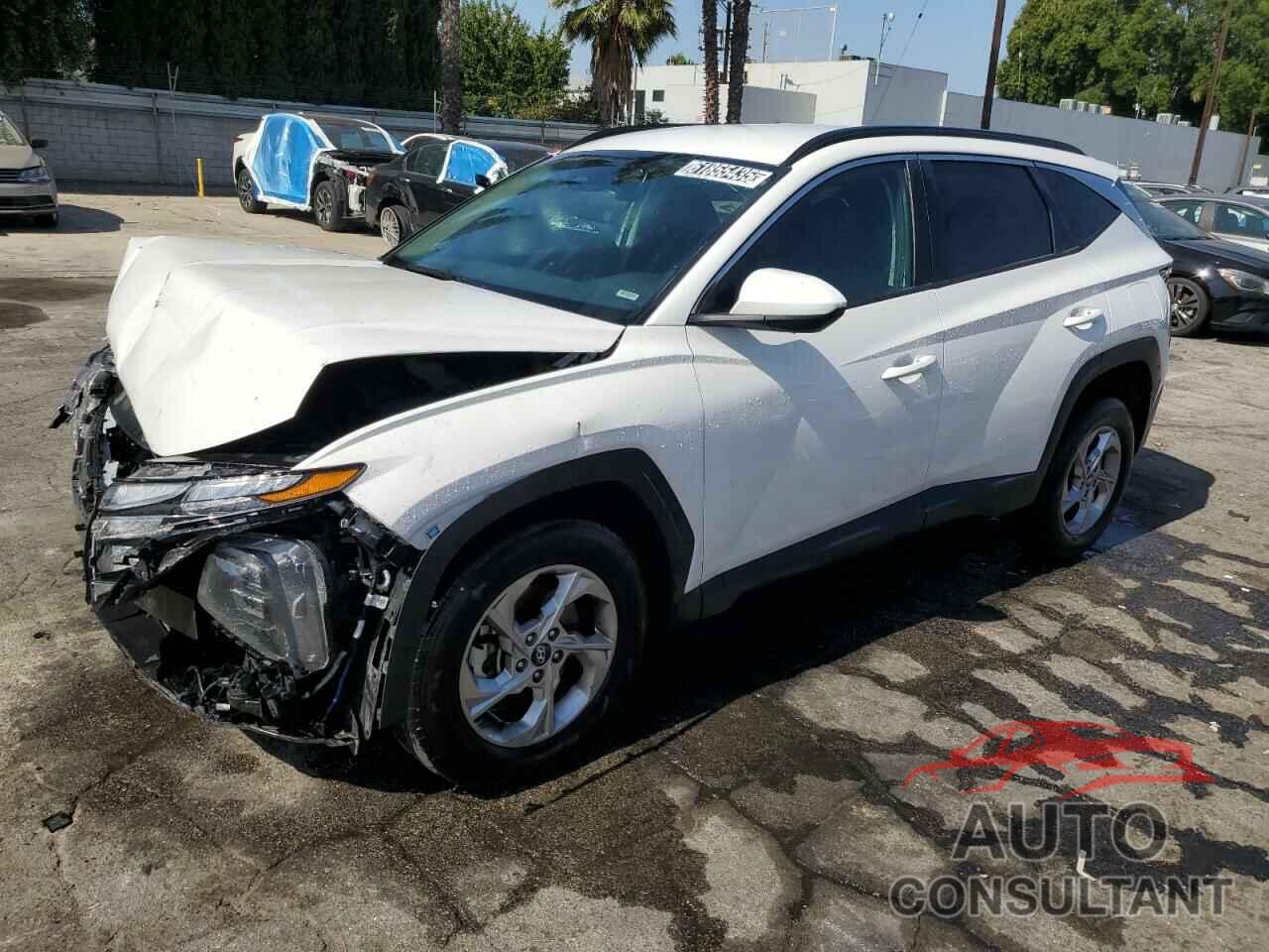 HYUNDAI TUCSON 2024 - 5NMJBCDE3RH307519