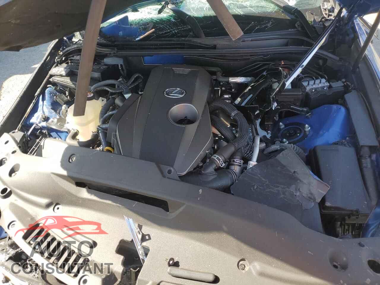 LEXUS IS 2021 - JTHAA1D25M5111296