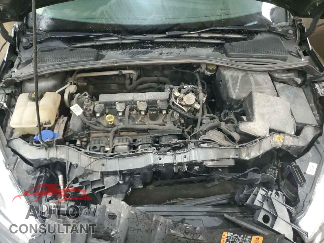 FORD FOCUS 2016 - 1FADP3E2XGL353983