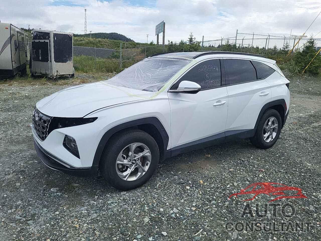 HYUNDAI TUCSON 2024 - KM8JCCDE0RU318222