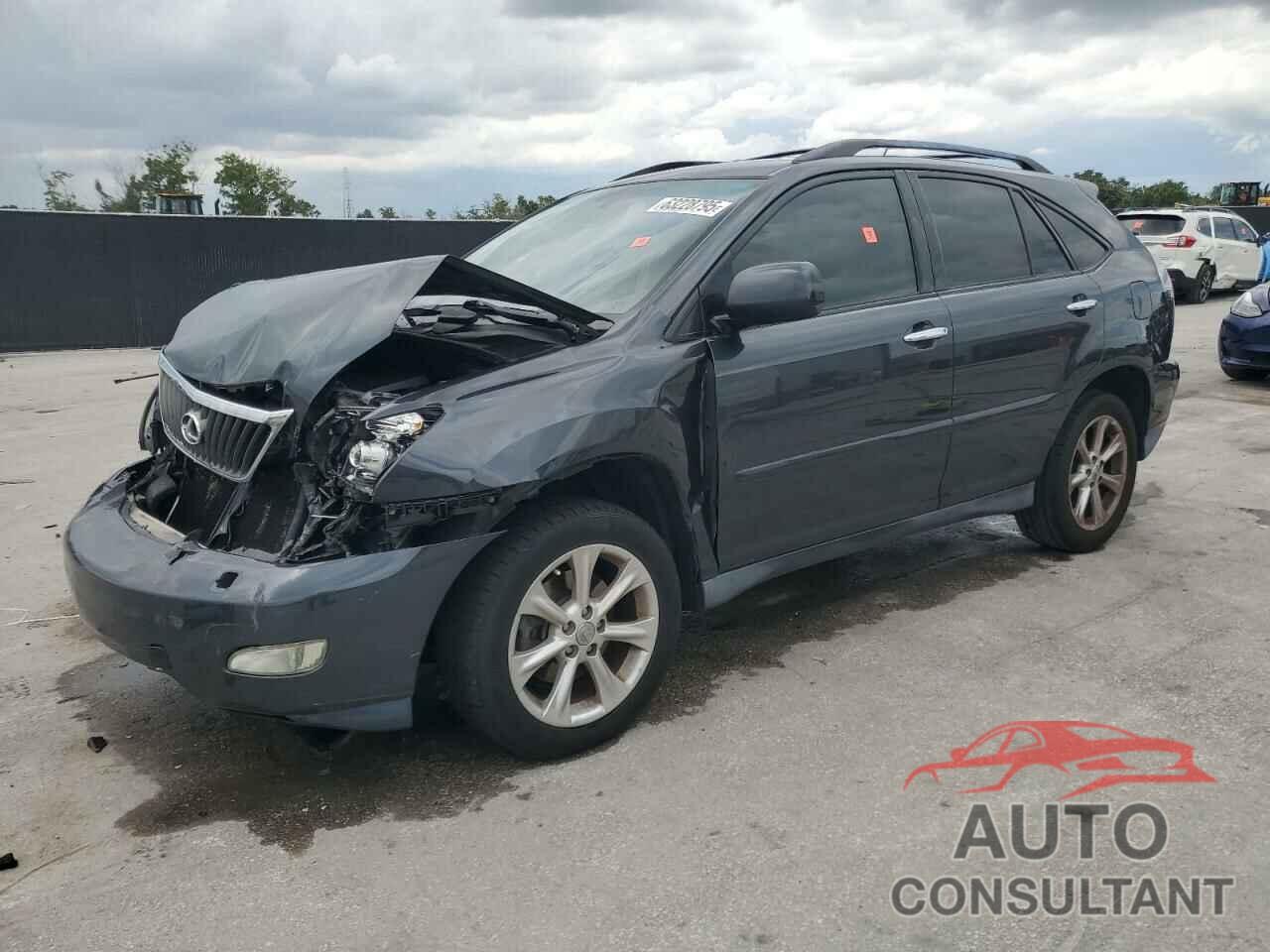 LEXUS RX350 2009 - 2T2GK31U39C064592