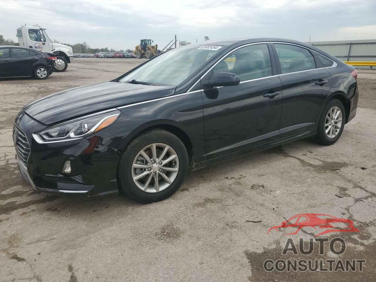 HYUNDAI SONATA 2019 - 5NPE24AF8KH802036