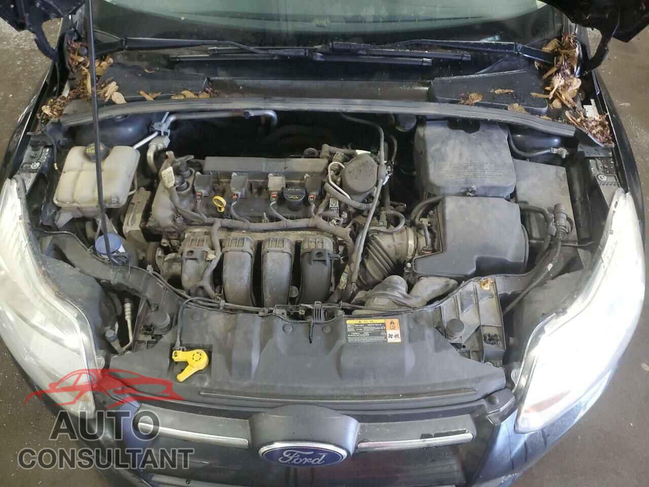 FORD FOCUS 2014 - 1FADP3F20EL162021