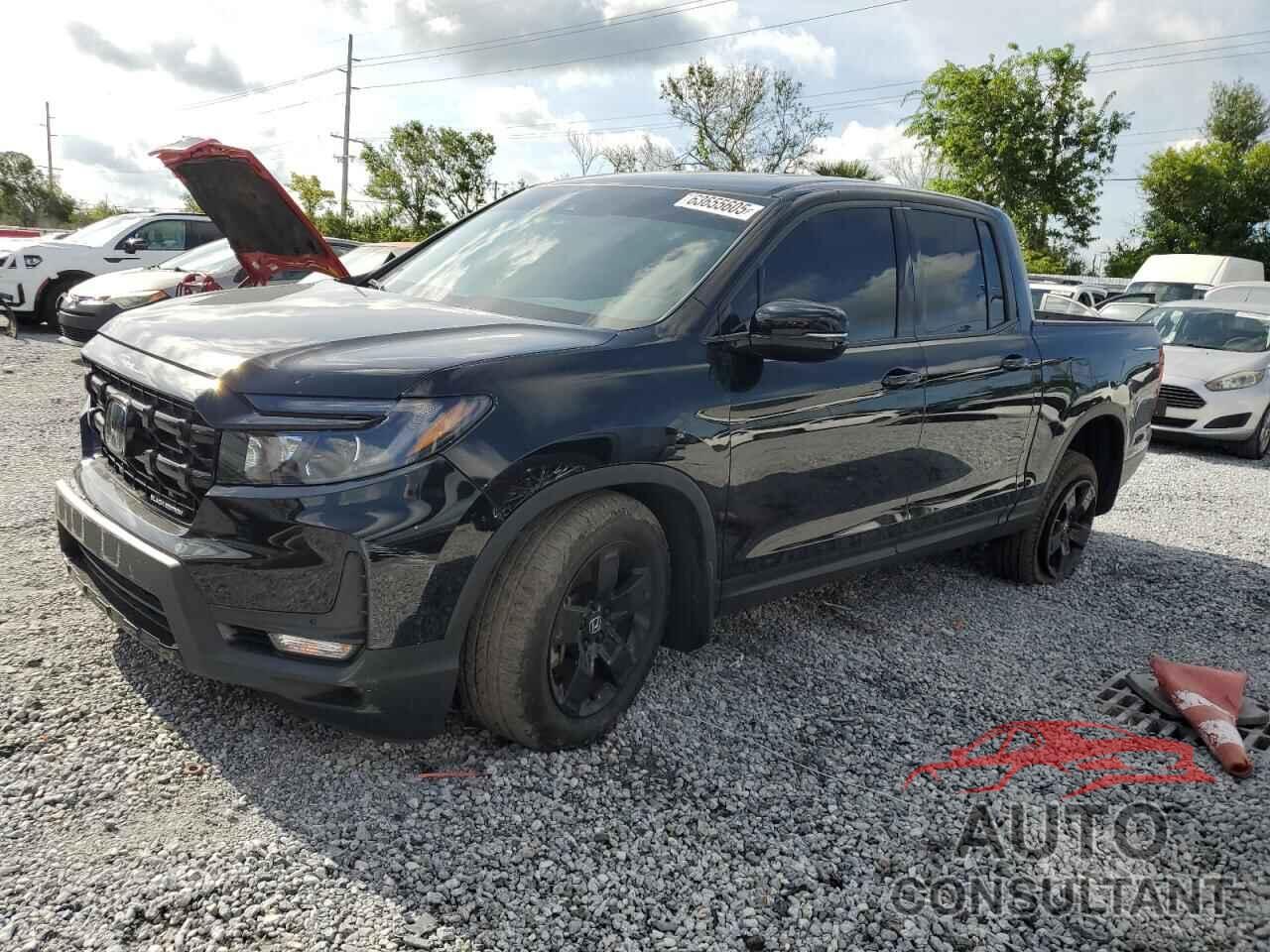 HONDA RIDGELINE 2024 - 5FPYK3F81RB024244