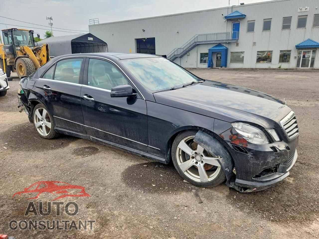 MERCEDES-BENZ E-CLASS 2010 - WDDHF8HB3AA145198