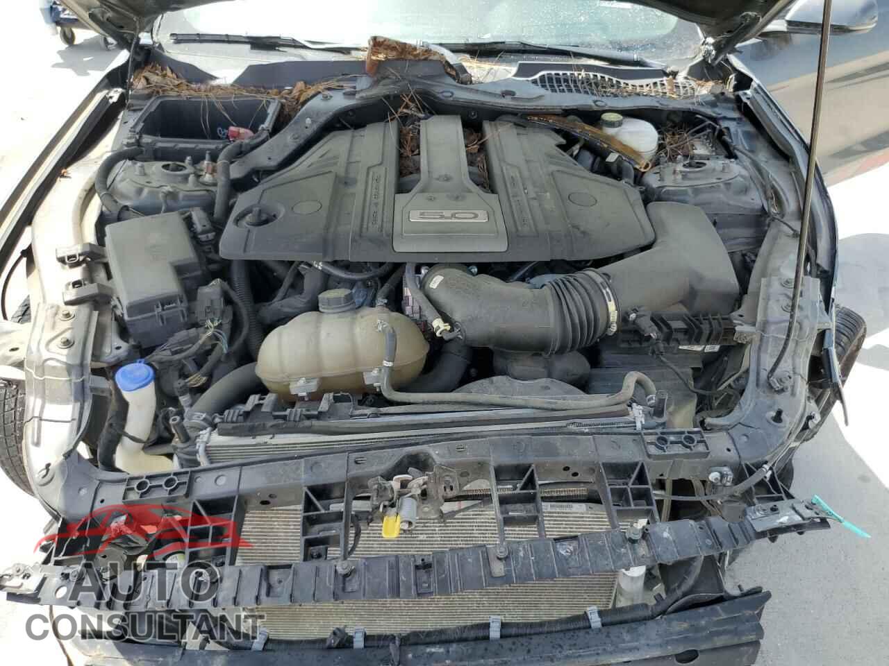 FORD MUSTANG 2020 - 1FA6P8CF2L5136289