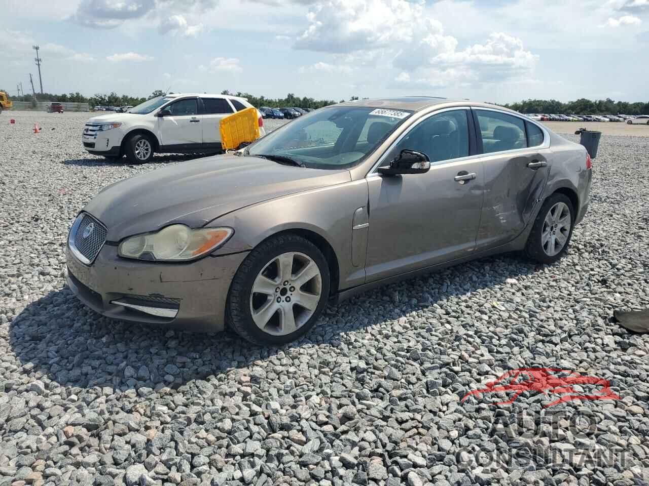 JAGUAR XF 2009 - SAJWA05B99HR11865