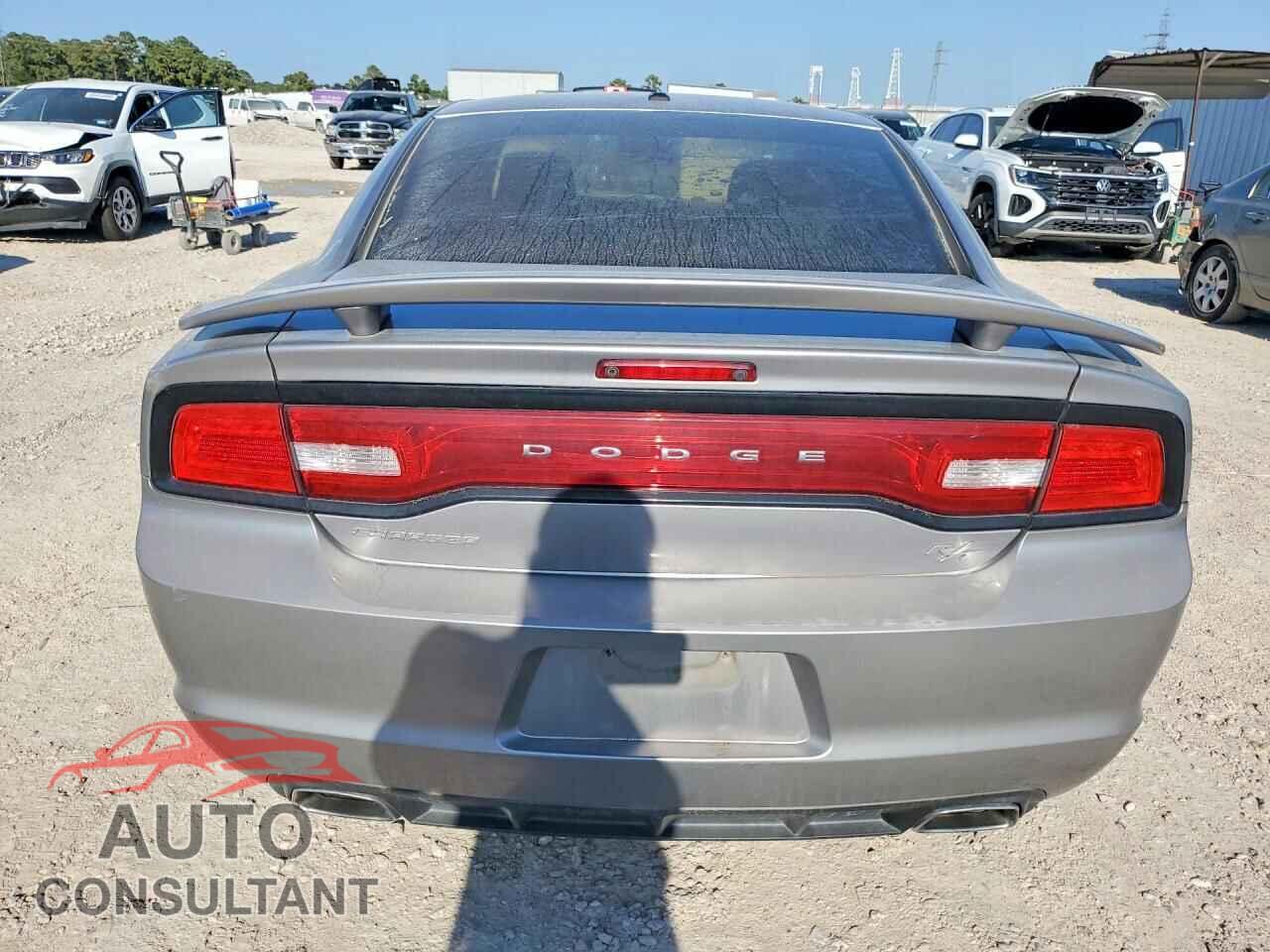 DODGE CHARGER 2013 - 2C3CDXCT9DH687159
