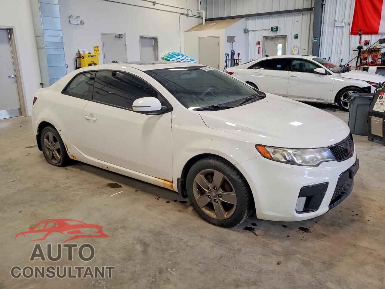 KIA FORTE 2012 - KNAFU6A21C5589596
