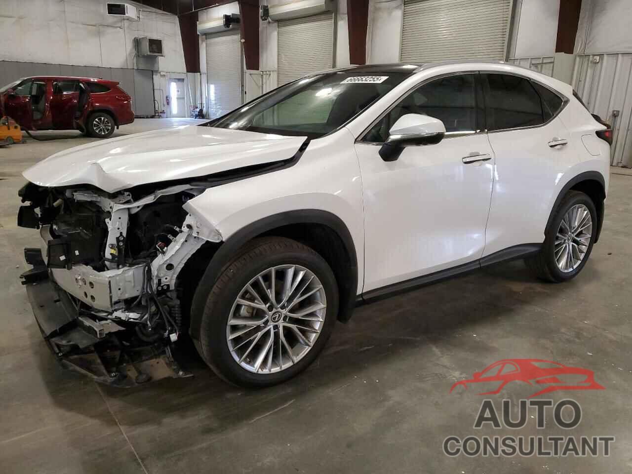 LEXUS NX 350H BA 2024 - 2T2HKCEZ8RC018377