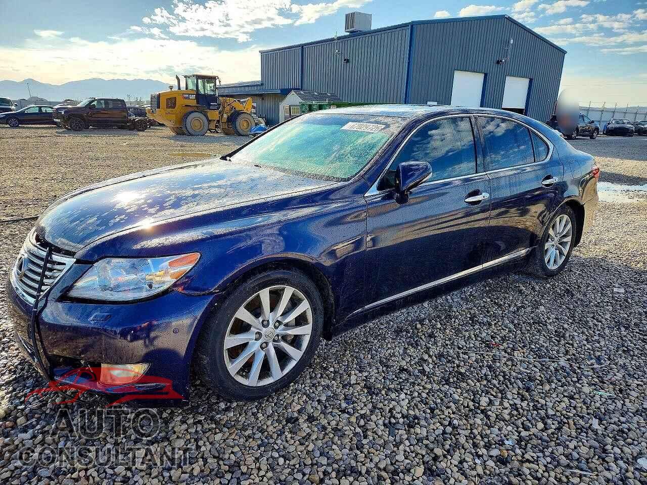 LEXUS LS460 2010 - JTHCL5EF6A5007567