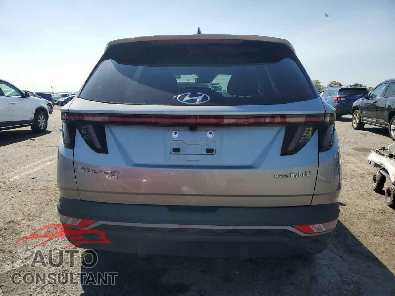HYUNDAI TUCSON 2023 - KM8JBCA16PU097601