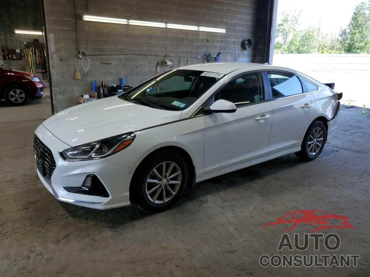 HYUNDAI SONATA 2019 - 5NPE24AF5KH797698