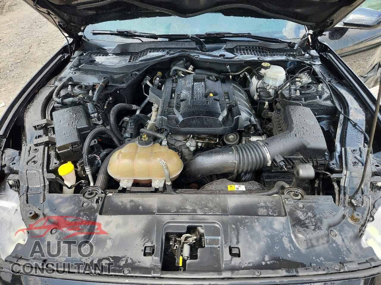 FORD MUSTANG 2018 - 1FA6P8TH5J5142182