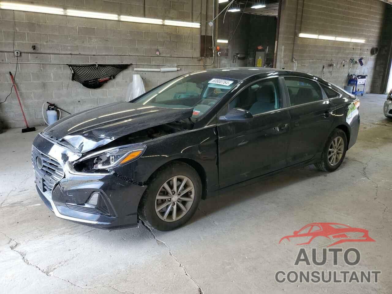 HYUNDAI SONATA 2019 - 5NPE24AF3KH741534