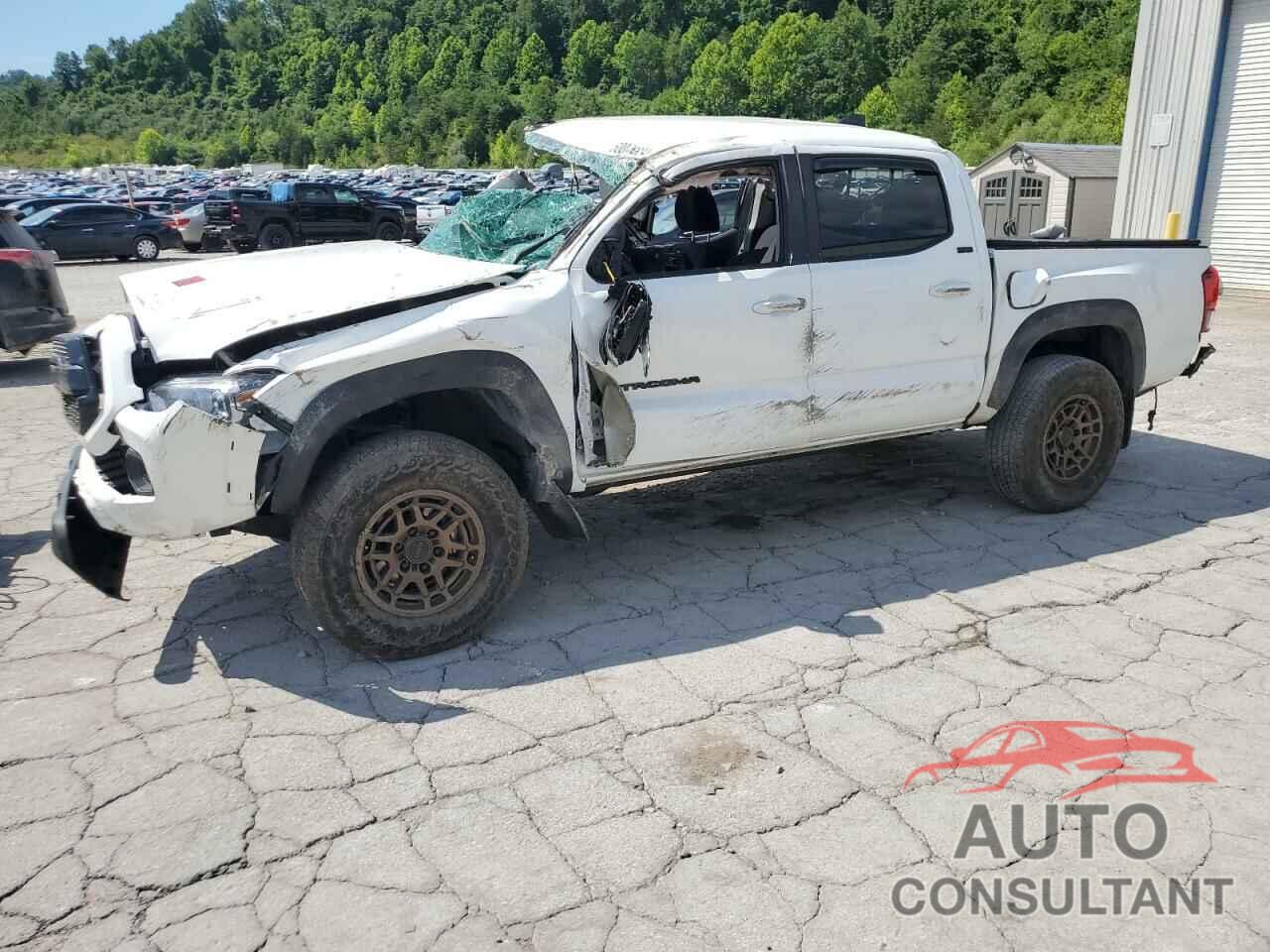 TOYOTA TACOMA 2023 - 3TMCZ5AN7PM617445