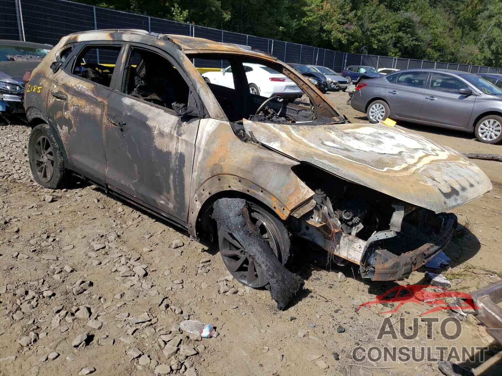 HYUNDAI TUCSON 2018 - KM8J33A48JU657035