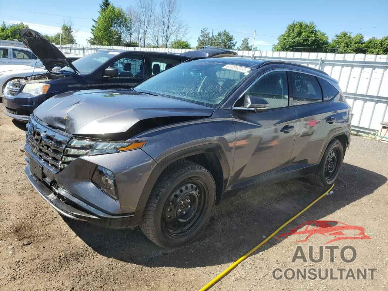 HYUNDAI TUCSON 2023 - KM8JCCA12PU130350